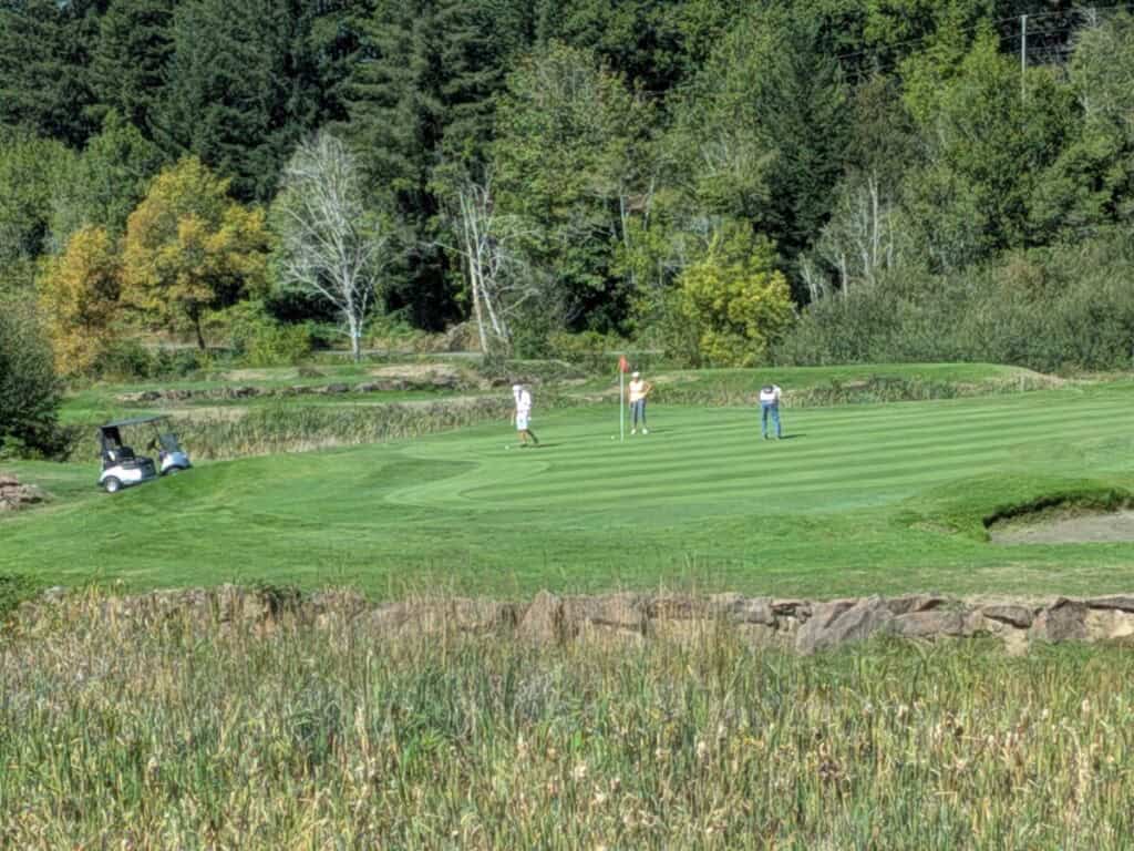 A bunch of people playing golf.