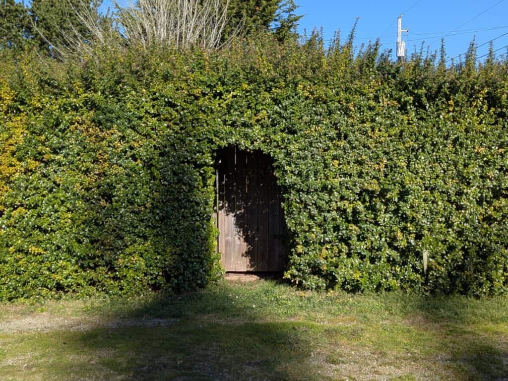 A picture of a hidden house perfect for a data entry job for someone with social anxiety.
