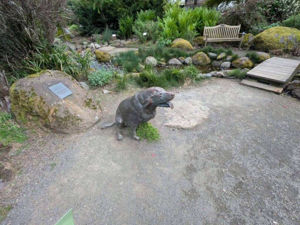 A picture of a dog statue in a park. Some wonder how to get 10000 points on fetch fast.
